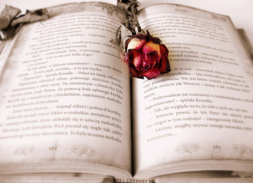 El Día del libro online