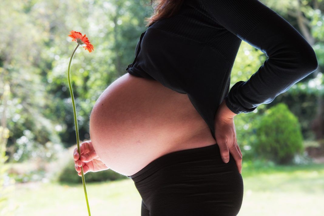 La UVa colabora en el segundo seminario sobre el efecto del feminismo en la maternidad