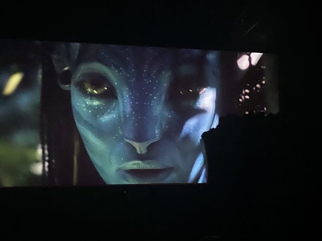Avatar vuelve 13 años después