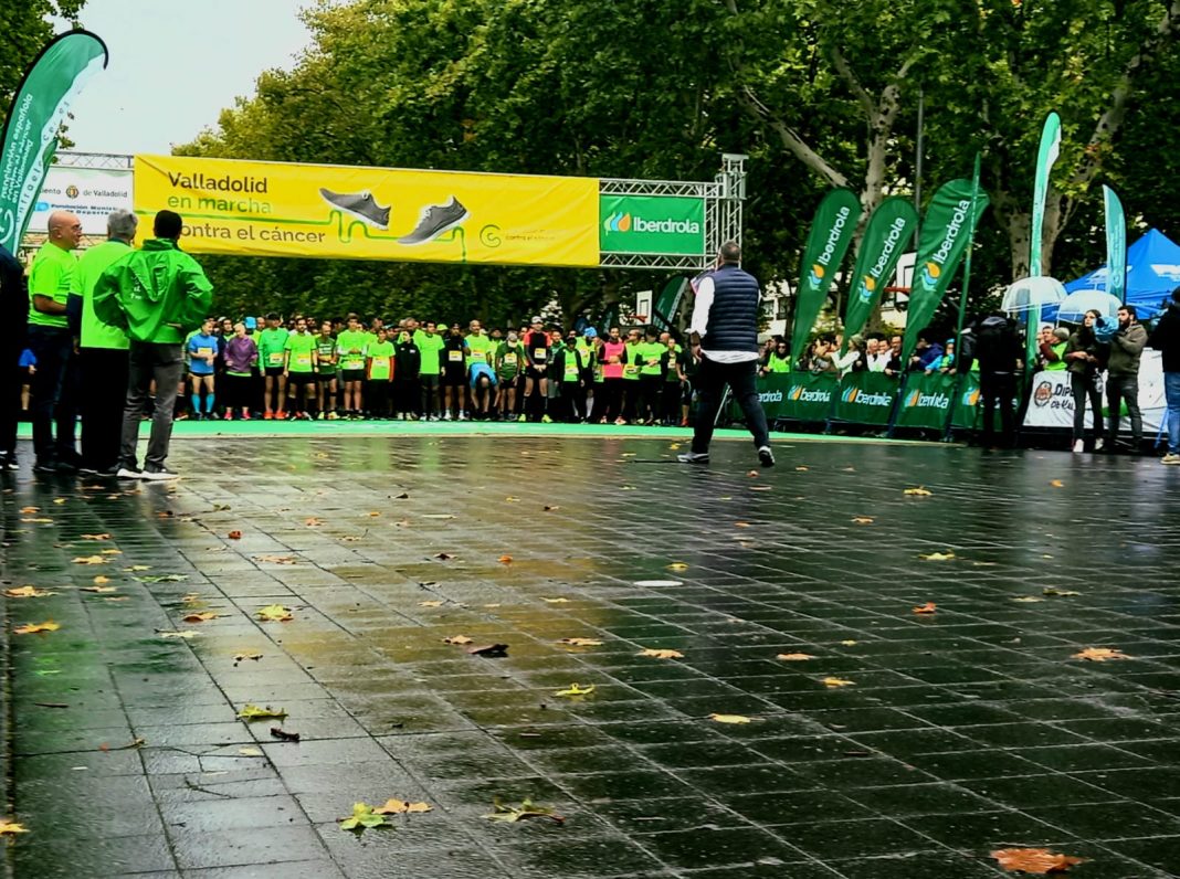 La marcha de Valladolid contra el cáncer en imágenes