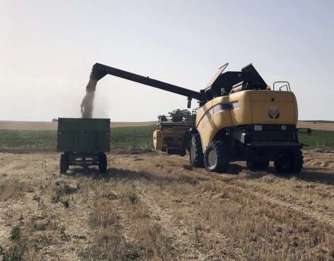El periodismo rural: la voz del campo