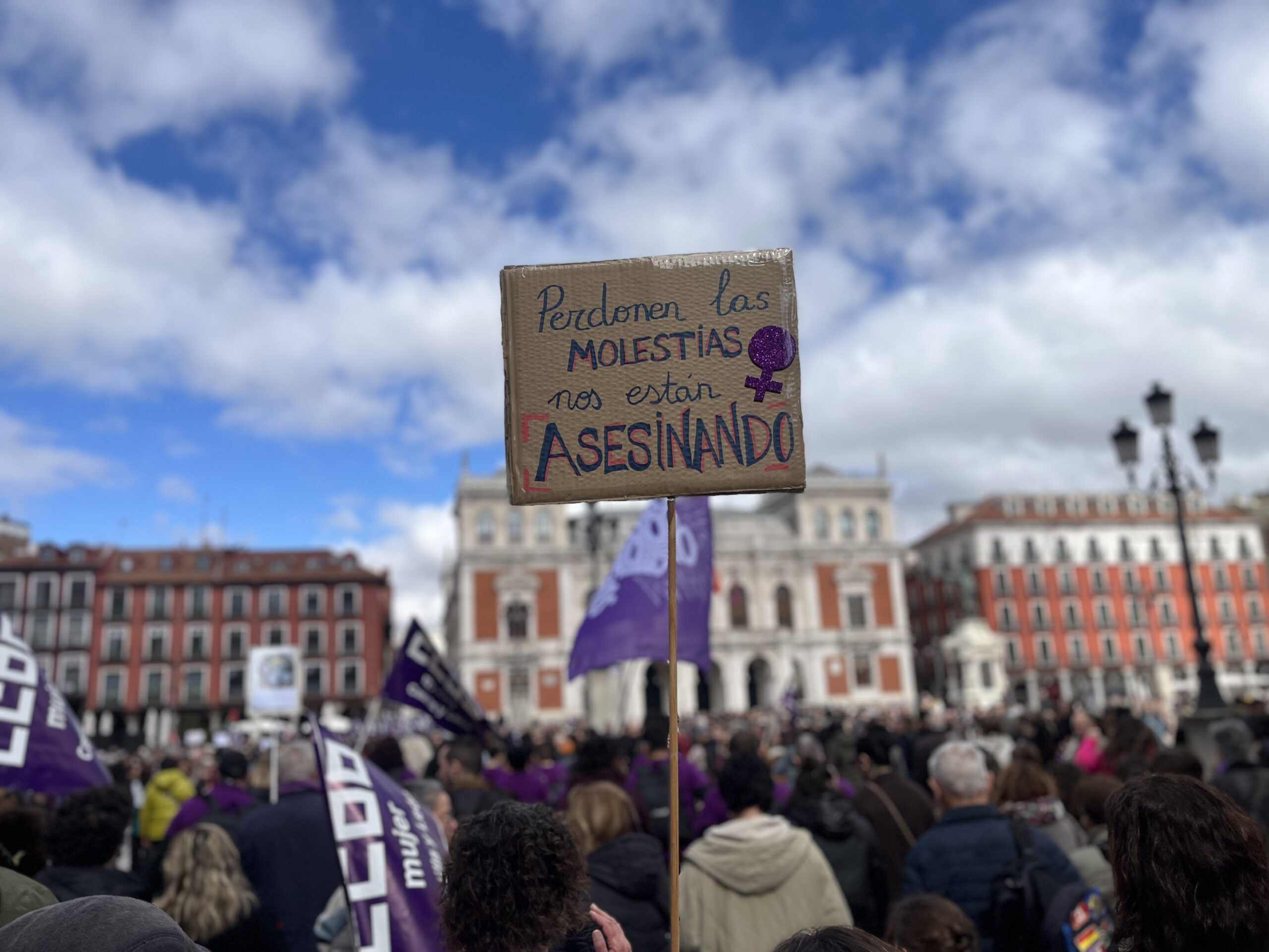 Reivindicación y celebración: miles de personas marchan en Valladolid en el 8M
