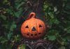 El origen de Halloween en España