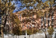 La V edición del Festival de Filosofía comienza el 17 de noviembre