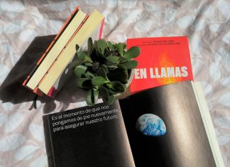 Seis lecturas para entender la crisis climática y tu papel en ella