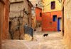 La España vaciada. Clasificación de los pueblos más pequeños de la Comunidad de Castilla y León