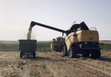 El periodismo rural: la voz del campo