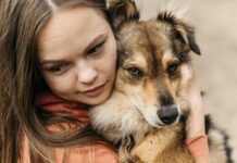 La protección de los Derechos de los Animales en Europa: ¿Realidad o Idealización?
