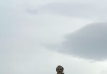 La figura femenina en Cervantes