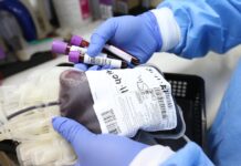 Las donaciones de sangre disminuyen entre los jóvenes universitarios donación jóvenes disminuido