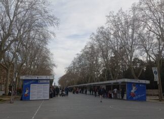 Las calles de Valladolid se llenan de literatura