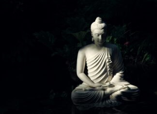 Opinión | ¿Es posible sobrevivir siendo pacifista?