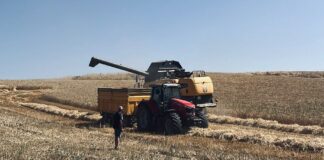 El acuerdo Mercosur-UE refuerza lazos internacionales mientras agita el debate en el campo europeo